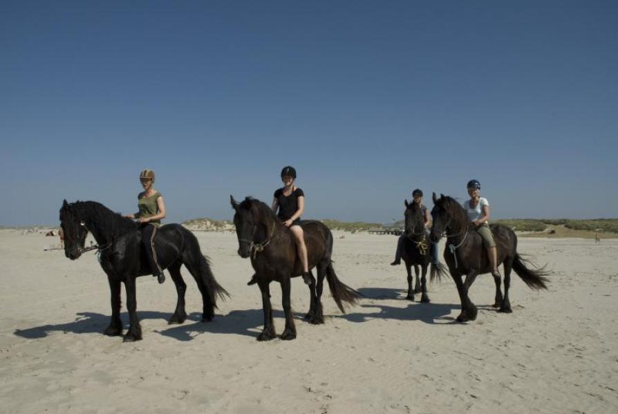 Paardrijden zonder zadel over het strand