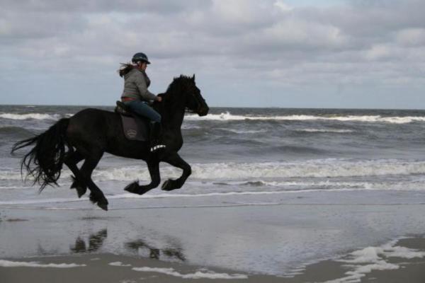 Paard met ruiter in galop op het strand