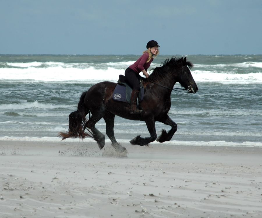 En ruiter laat haar paard galopperen over het weidse strand van Terschelling