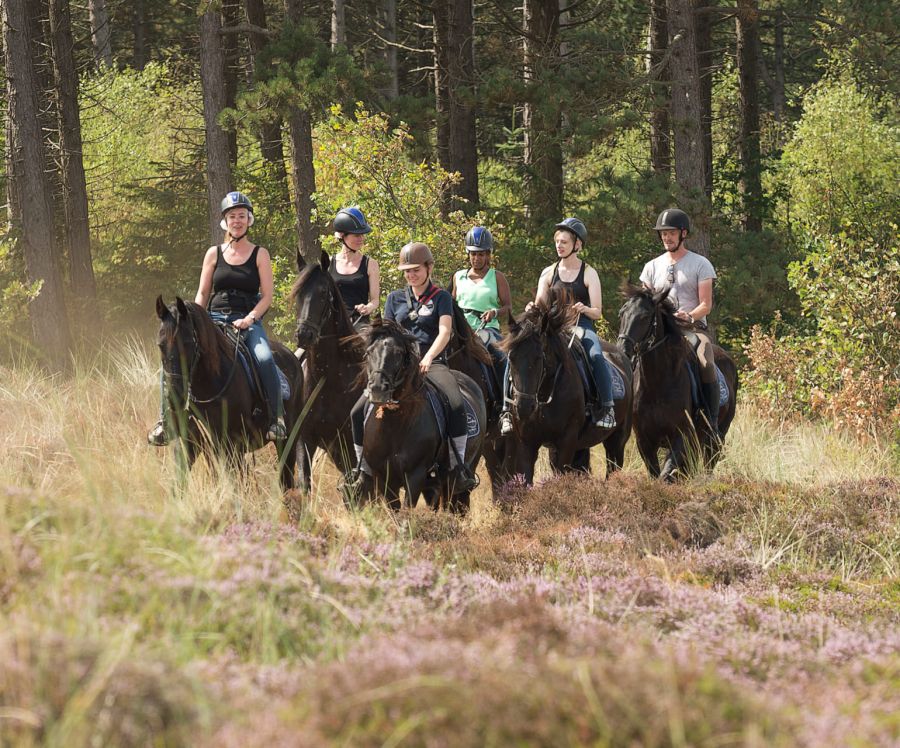 Puur Terschelling respect voor de omgeving