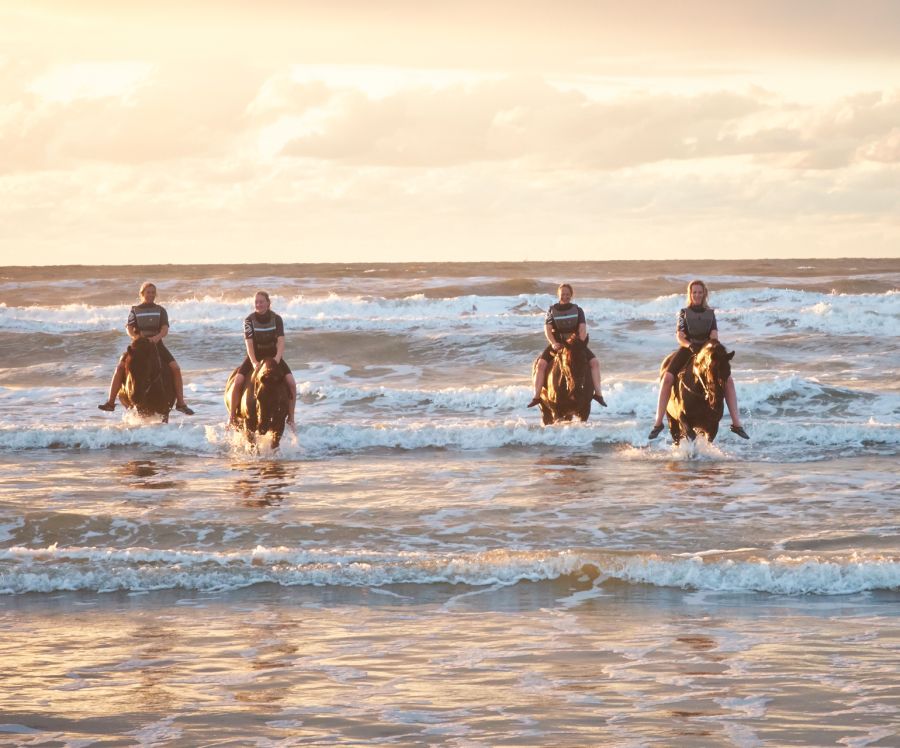 Een groep ruiters rijdt door de zee