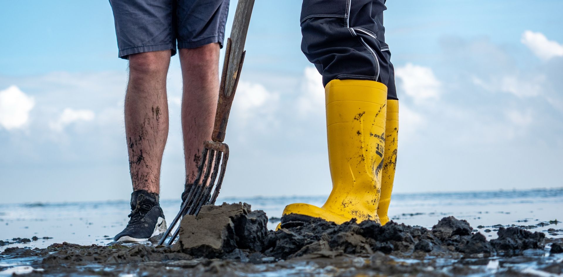Puur Terschelling wadlopen over de Waddenzee