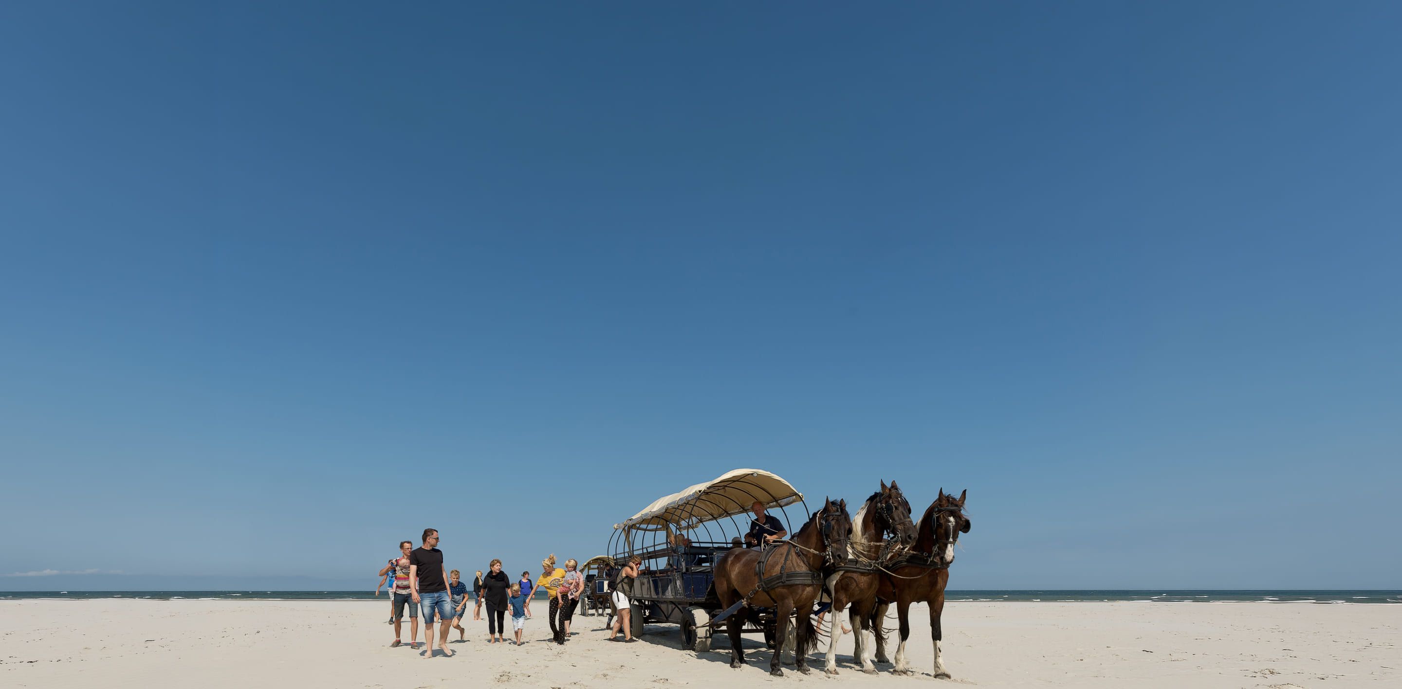 Puur Terschelling huifkartochten over het eiland