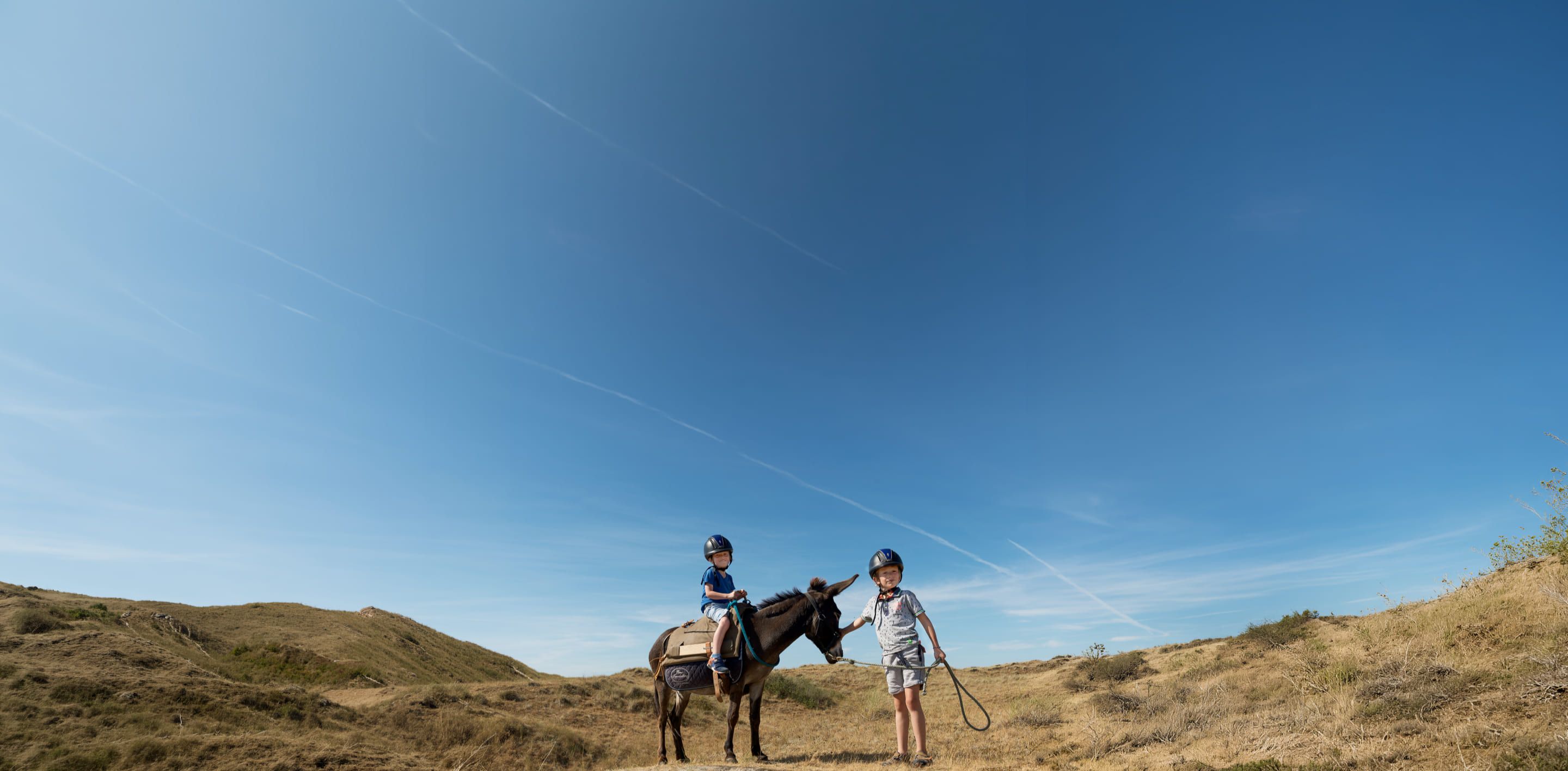 Puur Terschelling ezelwandeling plezier voor jong en oud